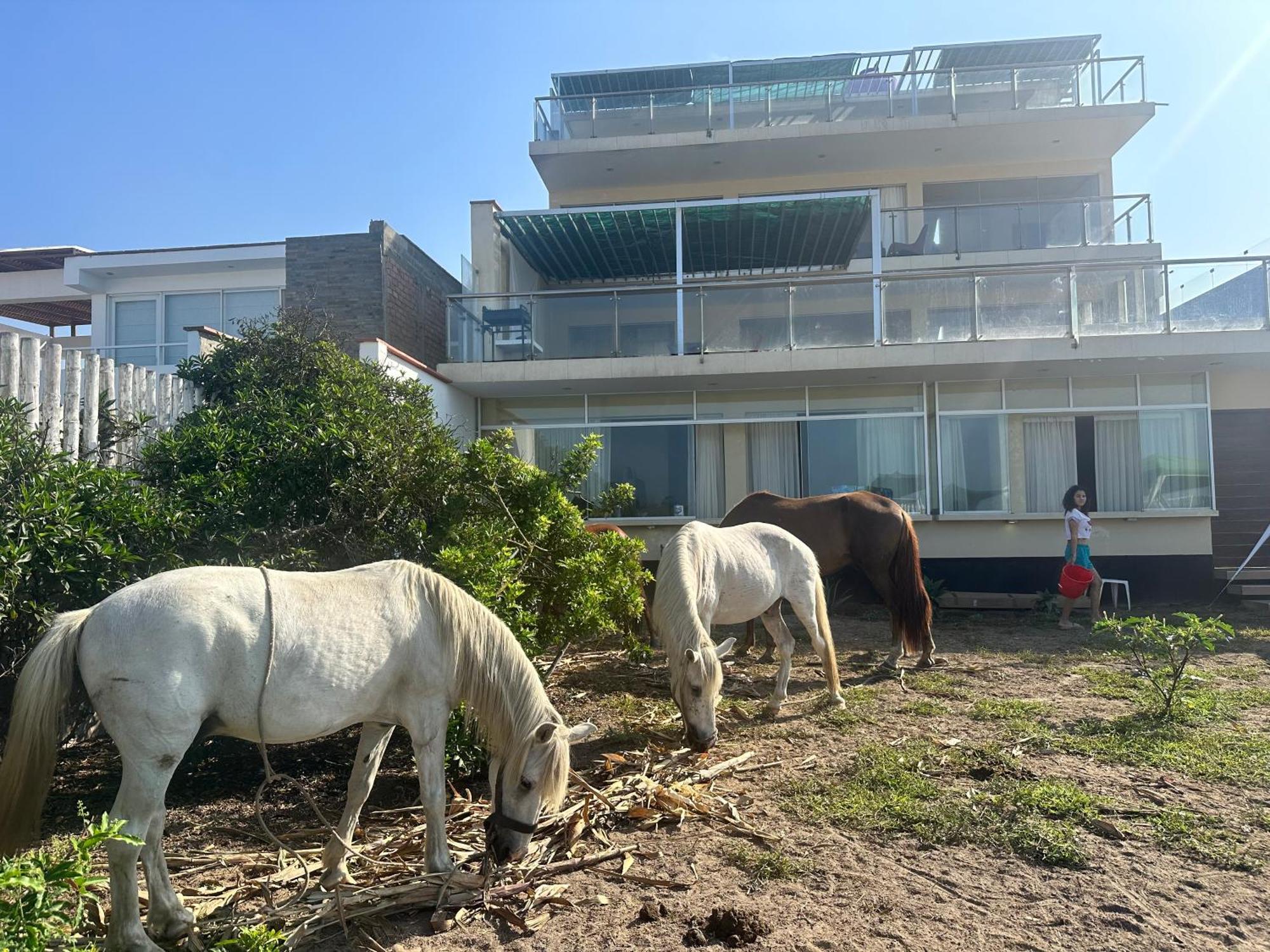 Yolo House Peru Bed and Breakfast Asia Εξωτερικό φωτογραφία