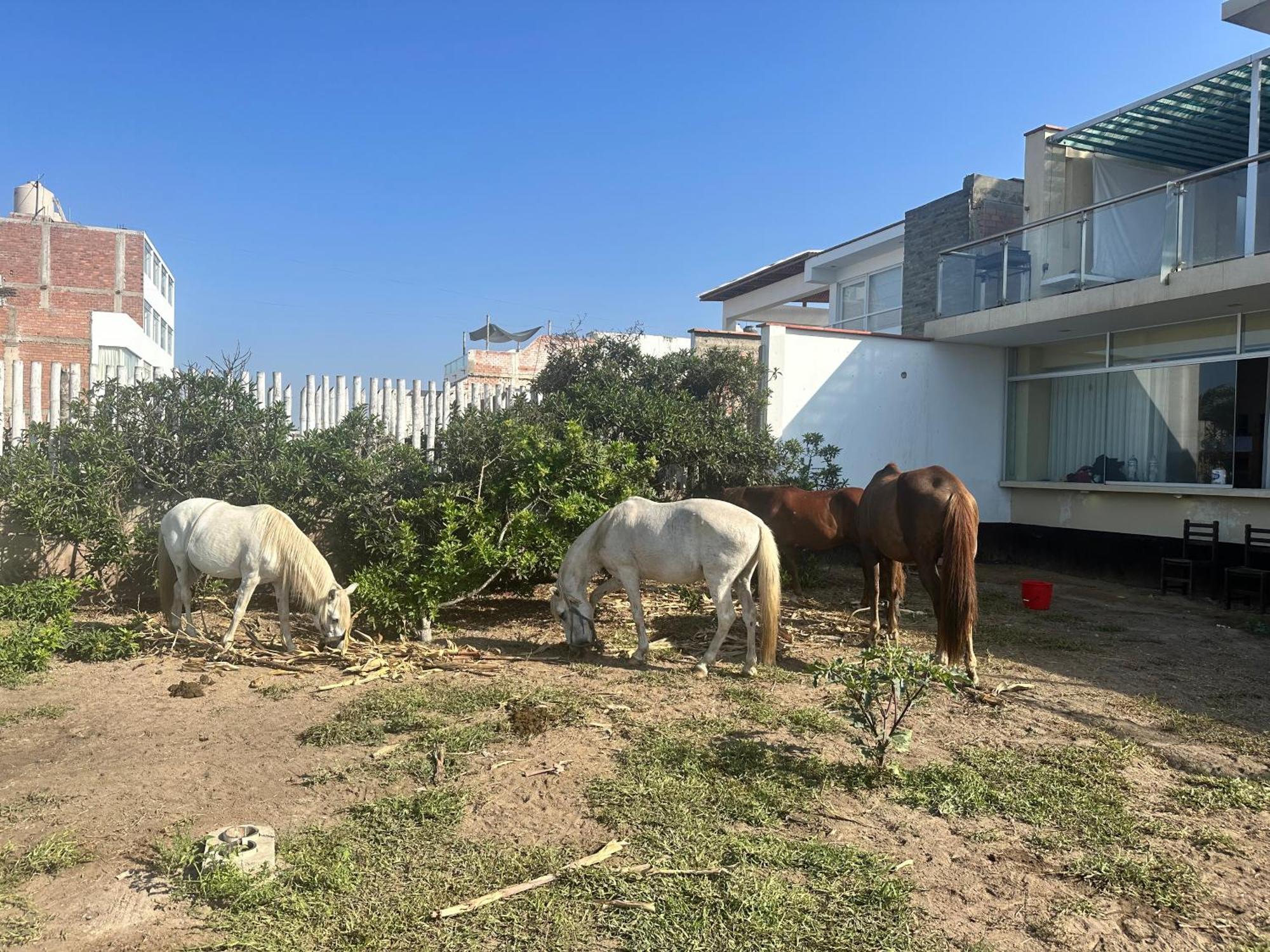 Yolo House Peru Bed and Breakfast Asia Εξωτερικό φωτογραφία